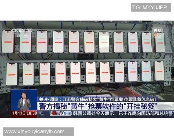 球票丑闻揭露真相黄牛被捕假票案件终获侦破